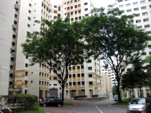 Blk 966 Hougang Avenue 9 (Hougang), HDB 5 Rooms #252062